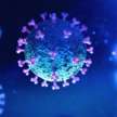 coronavirus new variant identified in uk, tough restriction imposed - Satya Hindi