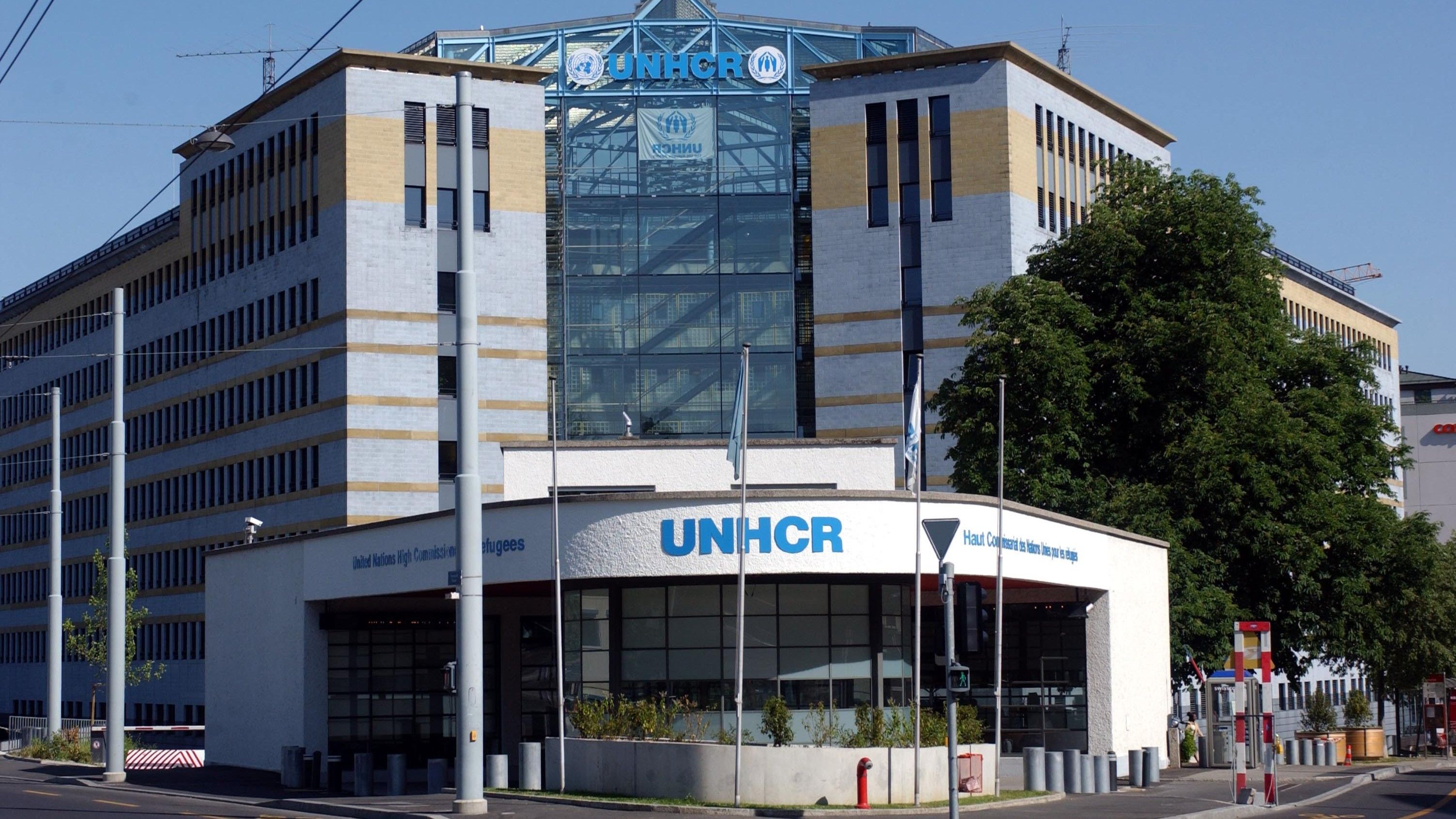 UNHCR moves supreme court over CAA - Satya Hindi