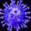  coronavirus originated china wuhan sea food market - Satya Hindi