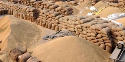 after the high price of wheat 30 lakh tones of wheat will be released by government  - Satya Hindi