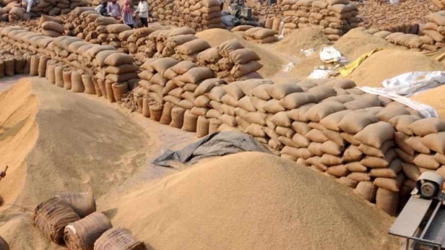 commerce minister piyush goyal on wheat export ban - Satya Hindi