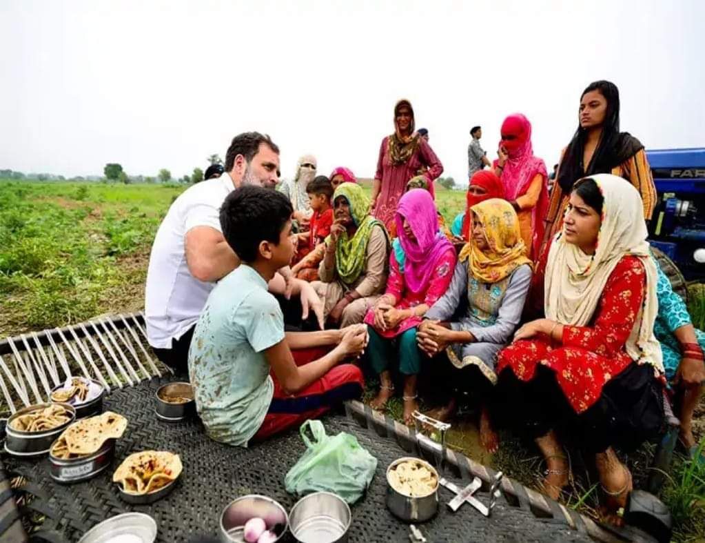 Rahul Gandhi 'sow paddy' in Haryana, meets farmers - Satya Hindi