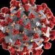 government was warned about new corona virus variant  - Satya Hindi