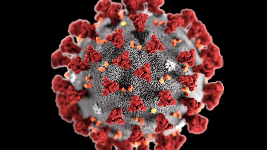 children dies of coronavirus in indonesia as delta variant cases surge - Satya Hindi
