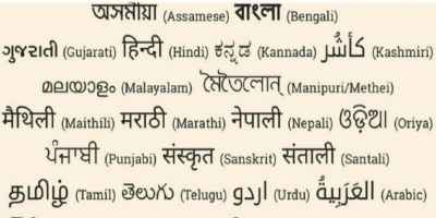 three language controversy one nation one language debate - Satya Hindi