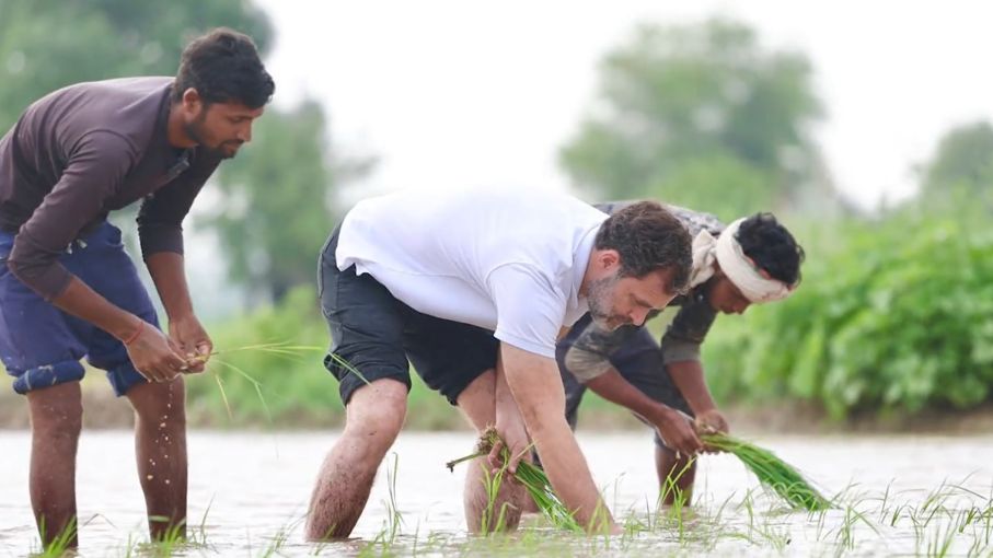 कांग्रेस को फिर से खड़ा करने में राहुल गांधी का क्या योगदान?