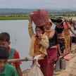 Rohingya: Two Central Ministries and VHP clashed  - Satya Hindi