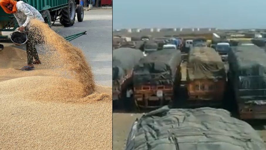 अमेरिका क्यों चाहता है भारत&nbsp;गेहूँ निर्यात प्रतिबंध पर पुनर्विचार करे?