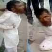 pahlu khan mob lynching alwar  - Satya Hindi