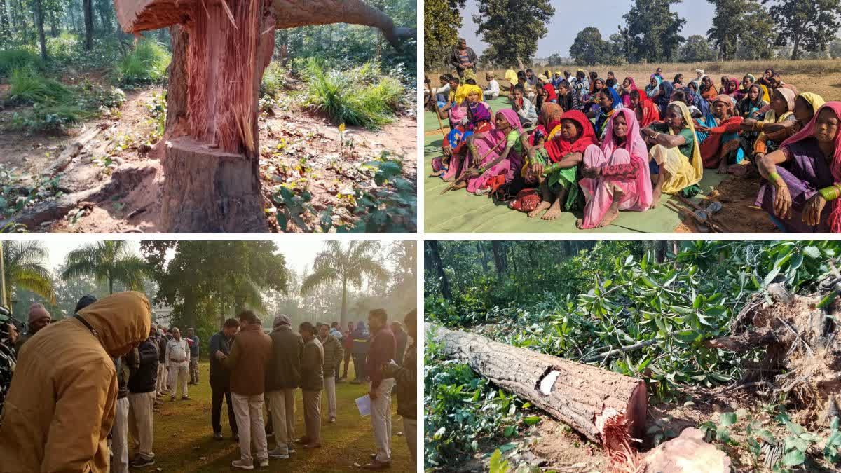 Chhattisgarh: Tribals protest against cutting of trees at Adani coal mine in Hasdev jungle  - Satya Hindi