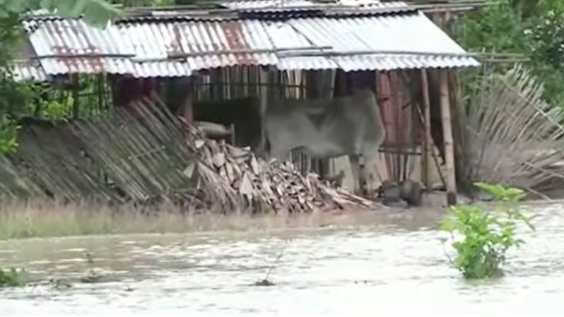 Assam flood 2022 Hojai and Cachar worst affected - Satya Hindi