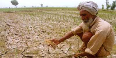 Farmers' income: Weather is pink in government data - Satya Hindi