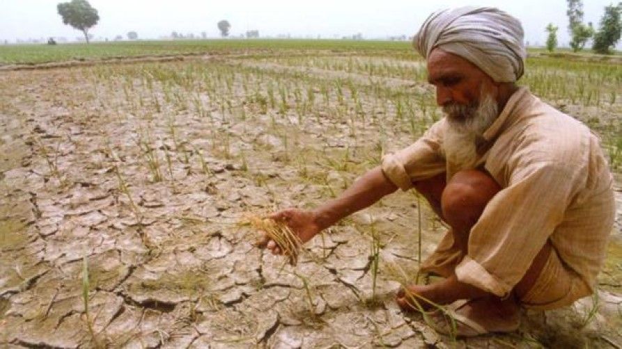 agristack for agriculture raises concerns as govt targets doubling farmers income - Satya Hindi