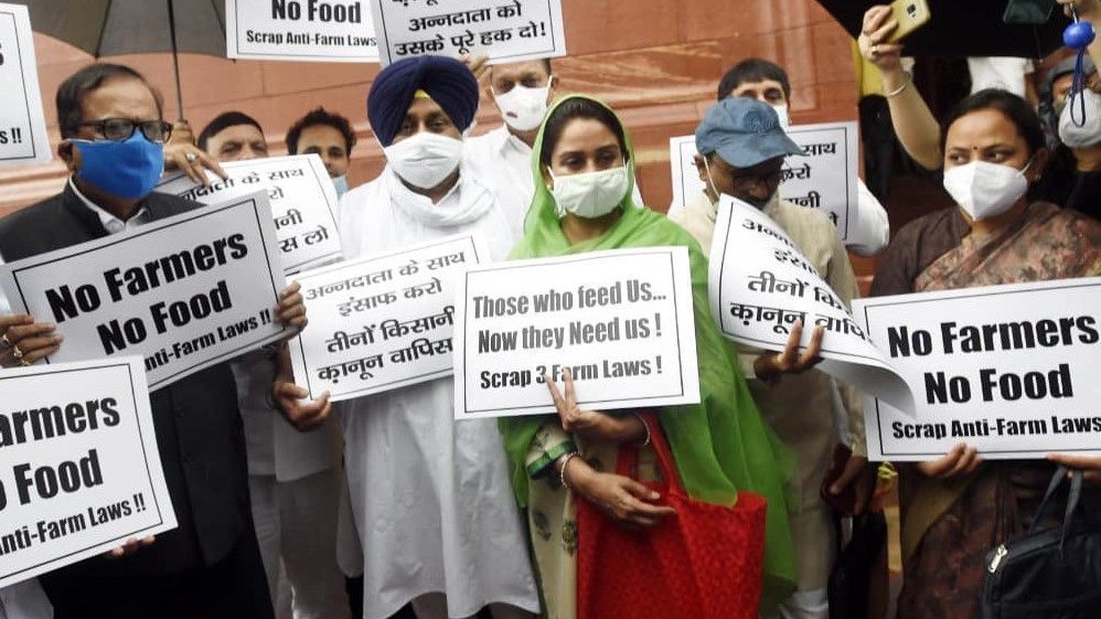 Modi government repealed controversial farm laws 2020 - Satya Hindi