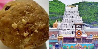 Tirupati laddus also distributed in Ayodhya Ram temple, few important points - Satya Hindi