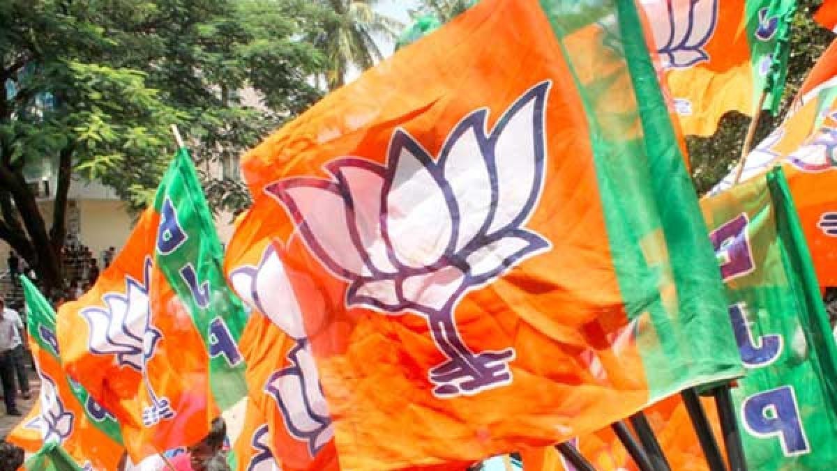 Himachal polls 2022 Rebel trouble for BJP in Bilaspur - Satya Hindi