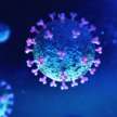coronavirus positive case increased exponentially 16 death  - Satya Hindi