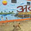 Ayodhya: why balance of human-monkey relations deteriorating? - Satya Hindi