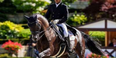 Asian Games 2023 live: Gold in Equestrian for first time in 41 years, 3 won so far - Satya Hindi