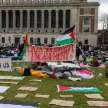 Massacre in Gaza: Protests continue at US universities despite arrests - Satya Hindi