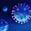 coronavirus second wave in Europe WHO warned - Satya Hindi