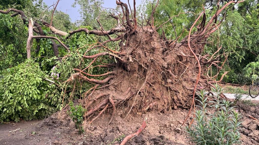 क्या सरकार जलवायु परिवर्तन को चेतावनी मानती भी है?
