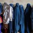 taliban bans windows overlooking areas used by afghan women - Satya Hindi